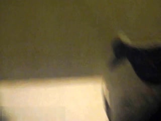 zipbi#牛人潜入商场女厕侧拍近距离几个年轻美眉的逼逼嘘嘘